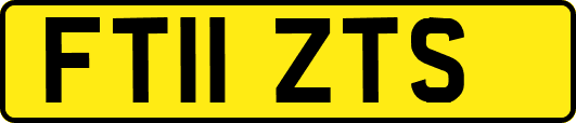 FT11ZTS