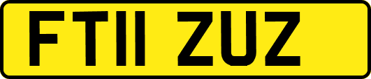 FT11ZUZ