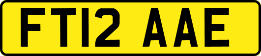 FT12AAE