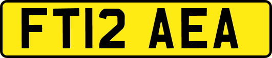 FT12AEA