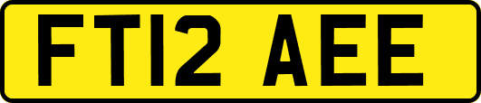 FT12AEE
