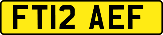 FT12AEF