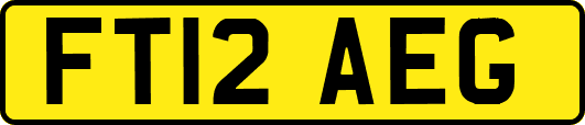 FT12AEG