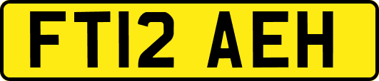 FT12AEH