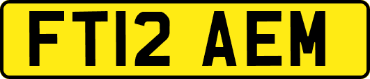 FT12AEM