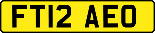 FT12AEO