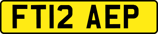 FT12AEP
