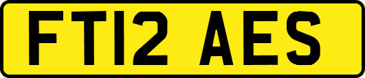 FT12AES