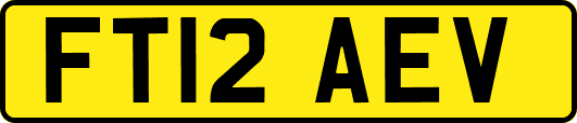 FT12AEV
