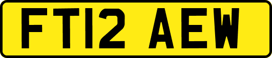 FT12AEW