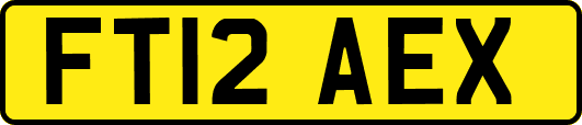 FT12AEX