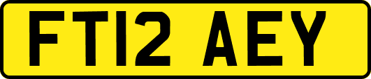 FT12AEY