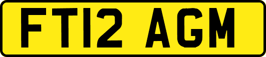 FT12AGM