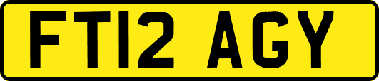 FT12AGY