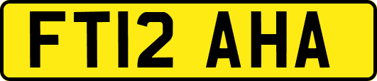 FT12AHA