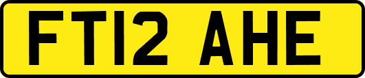 FT12AHE