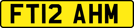 FT12AHM