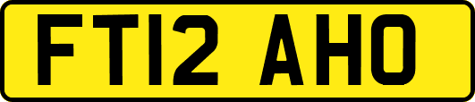 FT12AHO