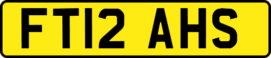 FT12AHS