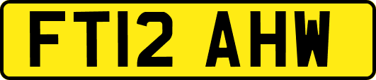 FT12AHW