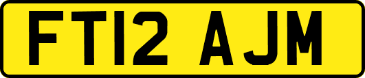 FT12AJM
