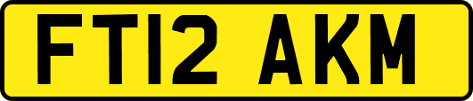 FT12AKM