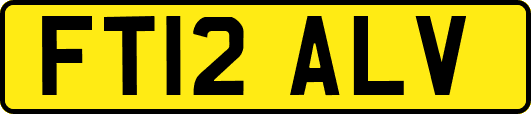 FT12ALV