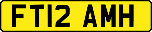 FT12AMH