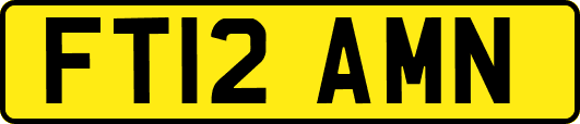 FT12AMN