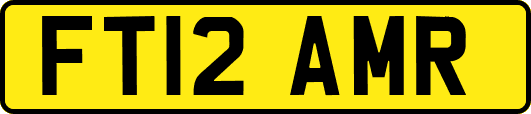 FT12AMR