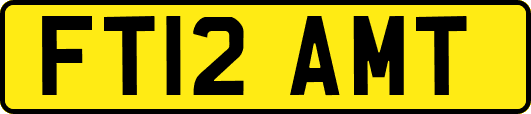 FT12AMT