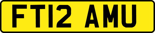 FT12AMU