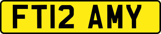 FT12AMY