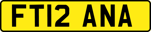 FT12ANA