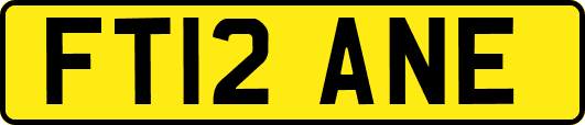 FT12ANE