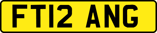 FT12ANG