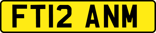 FT12ANM