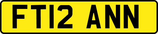 FT12ANN