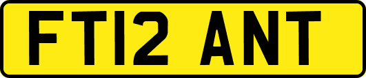 FT12ANT