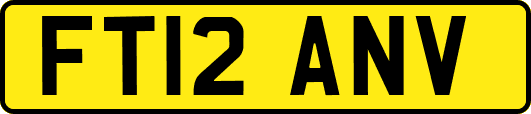 FT12ANV