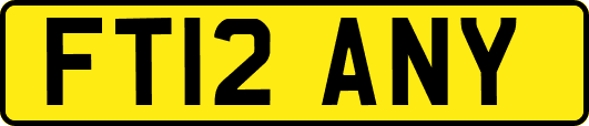 FT12ANY