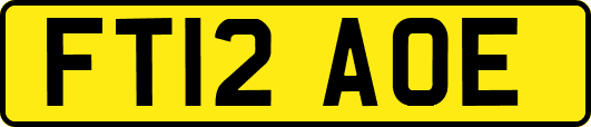 FT12AOE