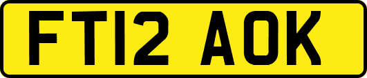 FT12AOK