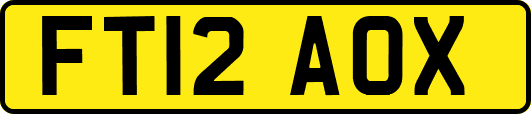FT12AOX