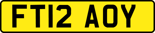 FT12AOY