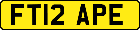 FT12APE