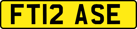 FT12ASE