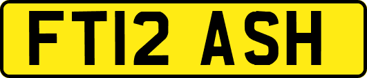 FT12ASH