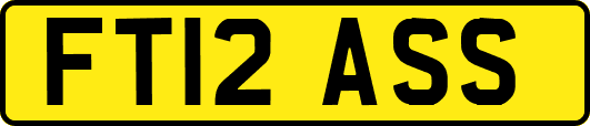 FT12ASS