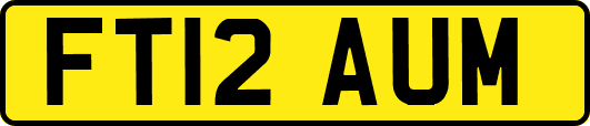 FT12AUM